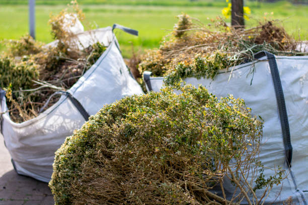 Best Shed Removal  in Garnett, KS